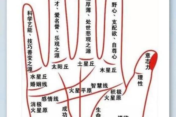 手相算命：什么样的手相最有偏财运
