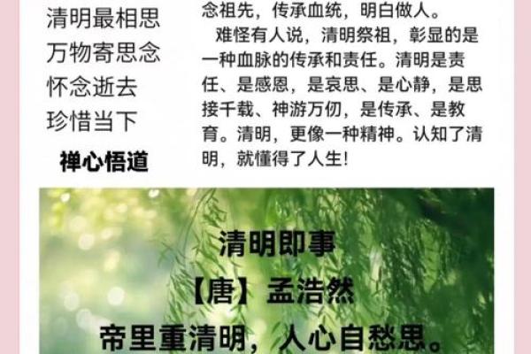 清明节扫墓需要注意的风水事项