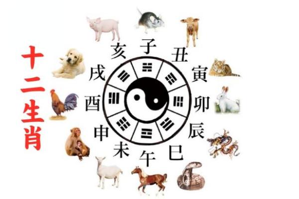 八字对应生肖