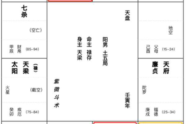 紫薇星生辰八字查询