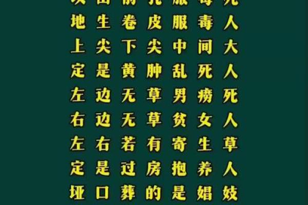 看坟地怎么看出好风水