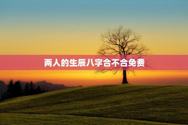 在线测八字,测算两人八字合不合