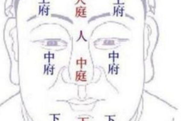 脸上八字