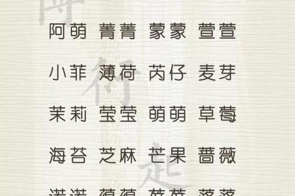 兔年男孩子起名字大全-兔年起名字姓名