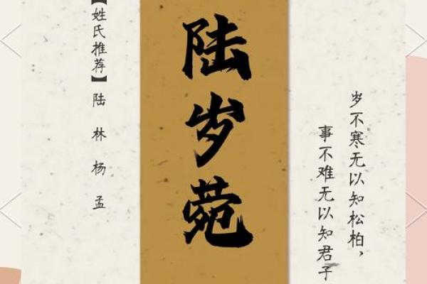 解姓女孩名字大全-解姓女孩起名字大全-解姓名字大全姓名