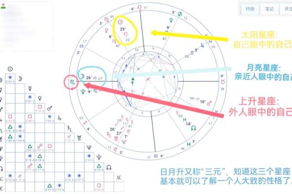 年紫薇星盘查询
