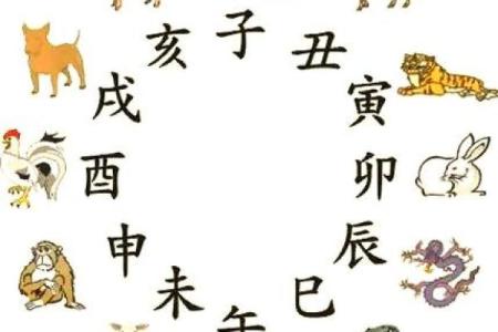 八字对应生肖