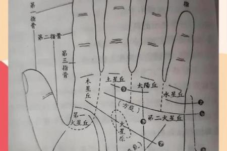手相太阳线揭秘算命图解大全