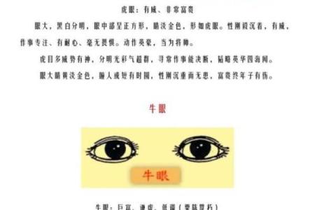 风水分析面相眼睛小是不是影响事业
