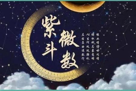 紫薇斗数丙级星