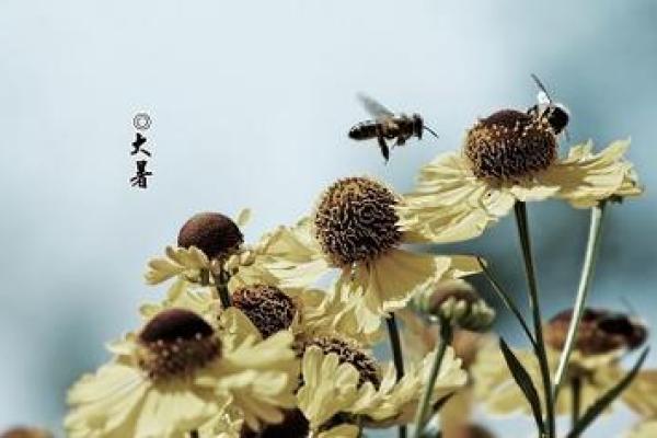 观音灵签二十九水墨先生解