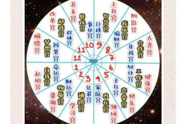紫薇斗数生肖表