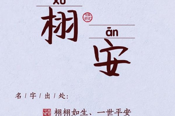 2019年6月27号寅时出生的男孩起名方法姓名