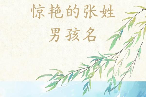 2019年5月20号寅时出生的男孩如何起名姓名