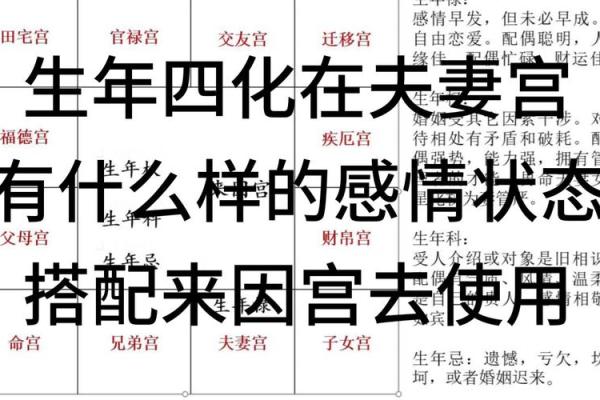 紫薇斗数夫妻宫代表