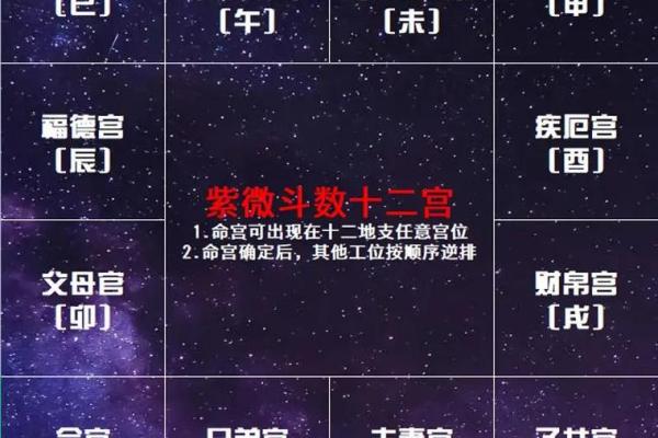 流年紫薇斗数空曜