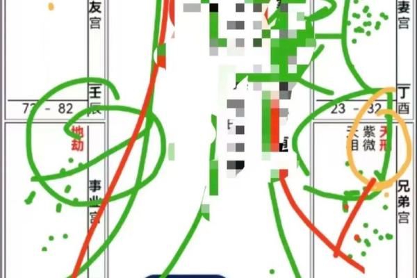 紫薇斗数大限工作