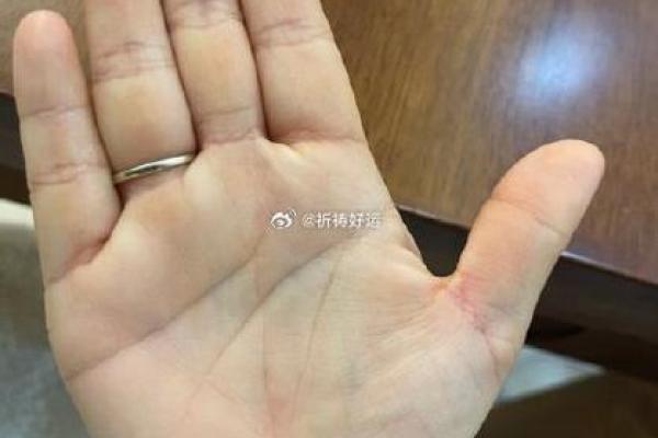 事业线和感情线连在一起的人风水好不好