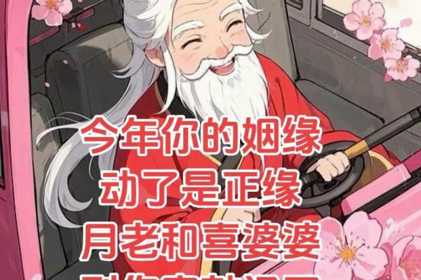月老姻缘的唯美句子 关于月老姻缘的句子？