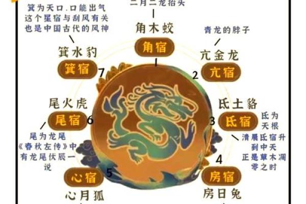 农村阴宅风水宝地的意思是什么禁忌