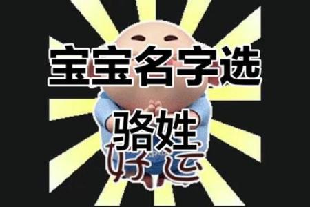骆姓男孩名字大全-骆姓男孩起名字大全-骆姓名字大全姓名
