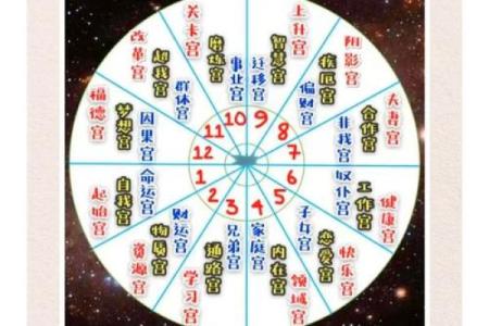 紫薇斗数生肖表