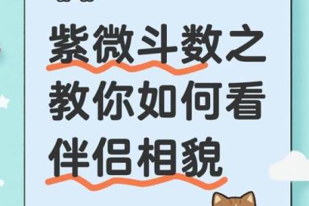 紫微斗数看配偶身材紫微 怎么通过紫微斗数看配偶身高？