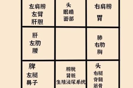 阴盘奇门遁甲在线排盘解盘