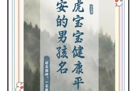 早上7点出生的属虎男孩怎么起名，适合什么字姓名