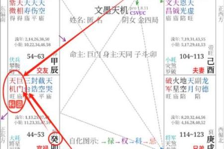 紫薇14主星之武曲和天同的意象和性质