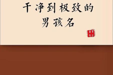 2019年5月20号寅时出生的男孩如何起名姓名