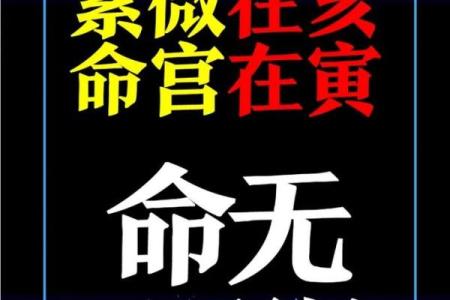 周飞星紫薇斗数