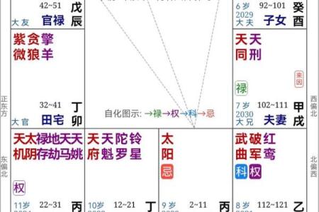 紫薇斗数大限工作