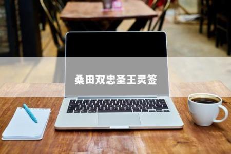 桑田双忠圣王灵签