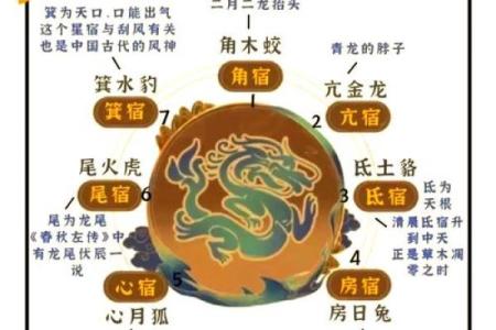 农村阴宅风水宝地的意思是什么禁忌