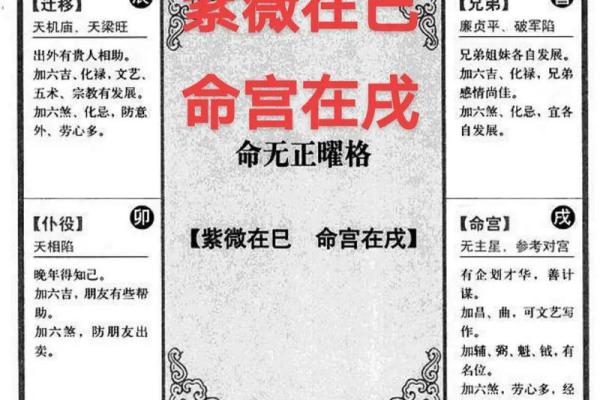 紫薇斗数辰戌宫