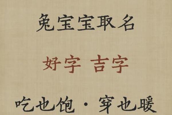 如何给9月份出生的属兔男孩取名字姓名