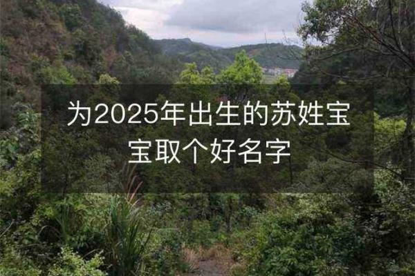 苏姓男孩名字大全-苏姓男孩起名字大全-苏姓名字大全姓名
