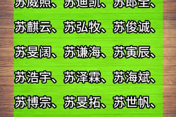 苏姓男孩名字大全-苏姓男孩起名字大全-苏姓名字大全姓名