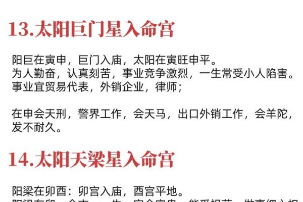 天机紫薇斗数长相