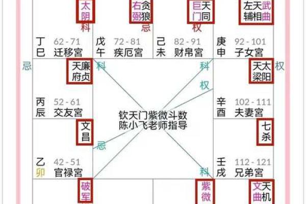 天机紫薇斗数长相