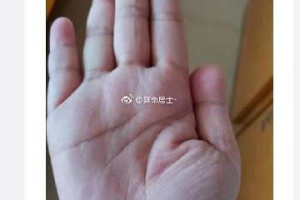易居士算命真的吗
