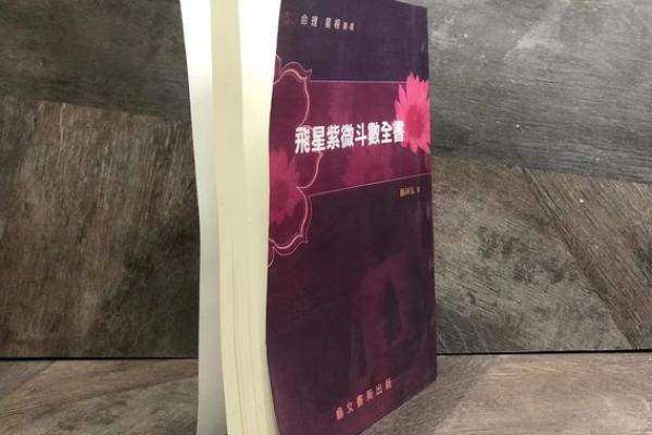 紫薇微斗数精诚