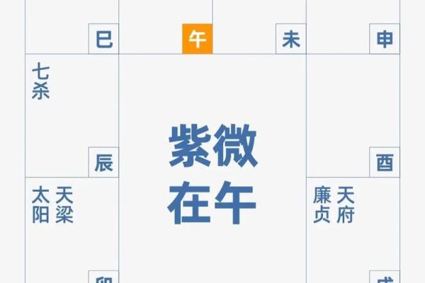 揭露紫微斗数 紫微斗数介绍？