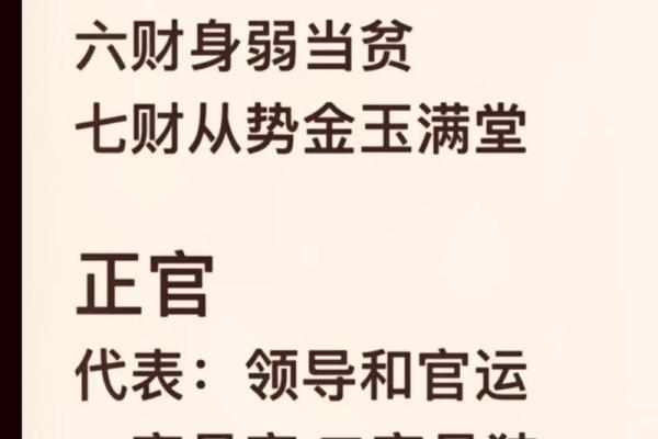 揭露紫微斗数 紫微斗数介绍？