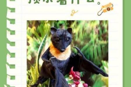 蝙蝠飞进家里好吗风水预示什么老人去世吗