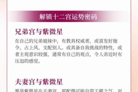 紫微斗数揭秘：你的富贵之路藏在星宿之中。