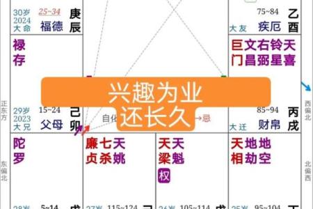 紫薇在官禄宫旺