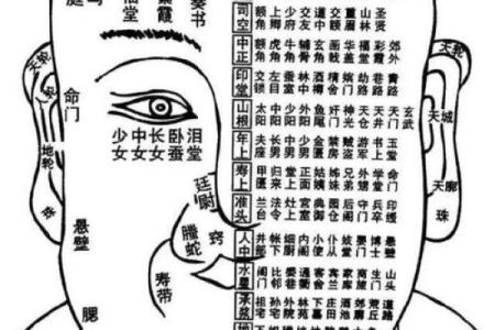 眼皮看面相算命