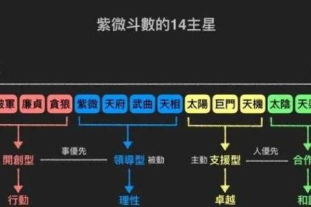 紫微斗数全星一览表,紫微斗数十四主星有哪些